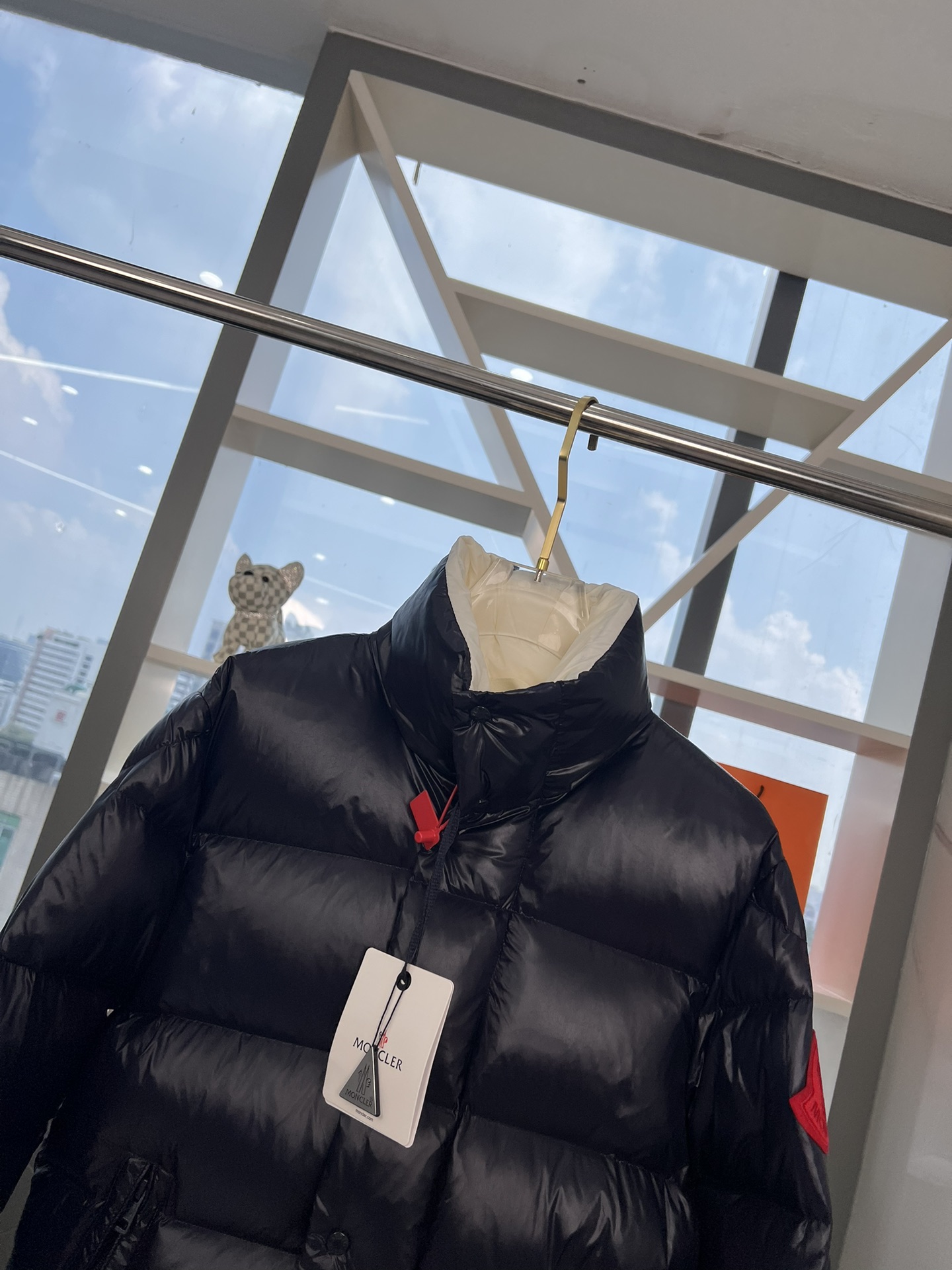 Moncler Down Jackets